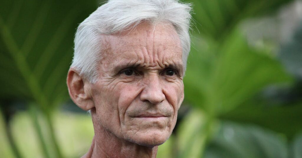 五感で楽しむ食の体験。視覚・聴覚・嗅覚・味覚・触覚がすべて刺激される和食シーン。